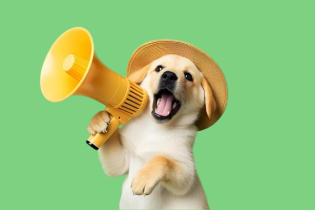 Professional Service